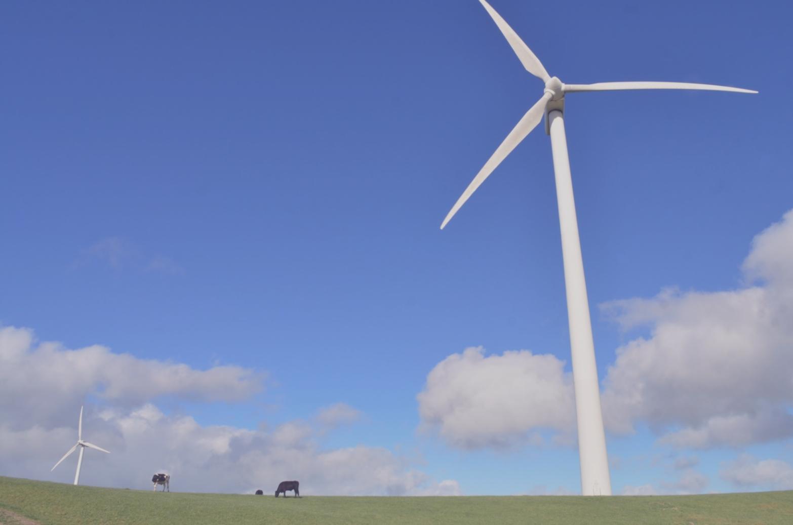 オンライン学習の様子とエネルギー資料